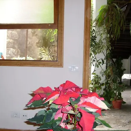 Preciosa Casa Emblematatica, Piscina,wifi Holiday home