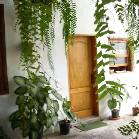Preciosa Casa Emblematatica, Piscina,wifi Holiday home *